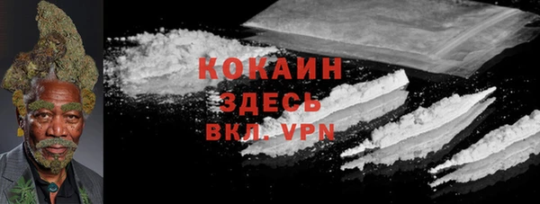 стафф Карпинск