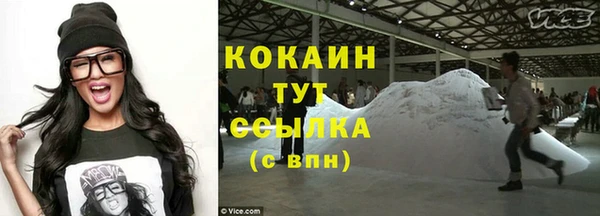 мдпв Ессентукская