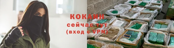 стафф Карпинск