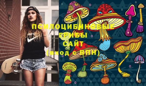 мдпв Ессентукская