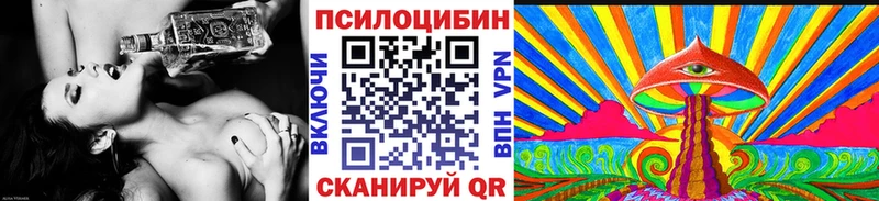 Псилоцибиновые грибы Psilocybe  цены наркотик  Медвежьегорск 